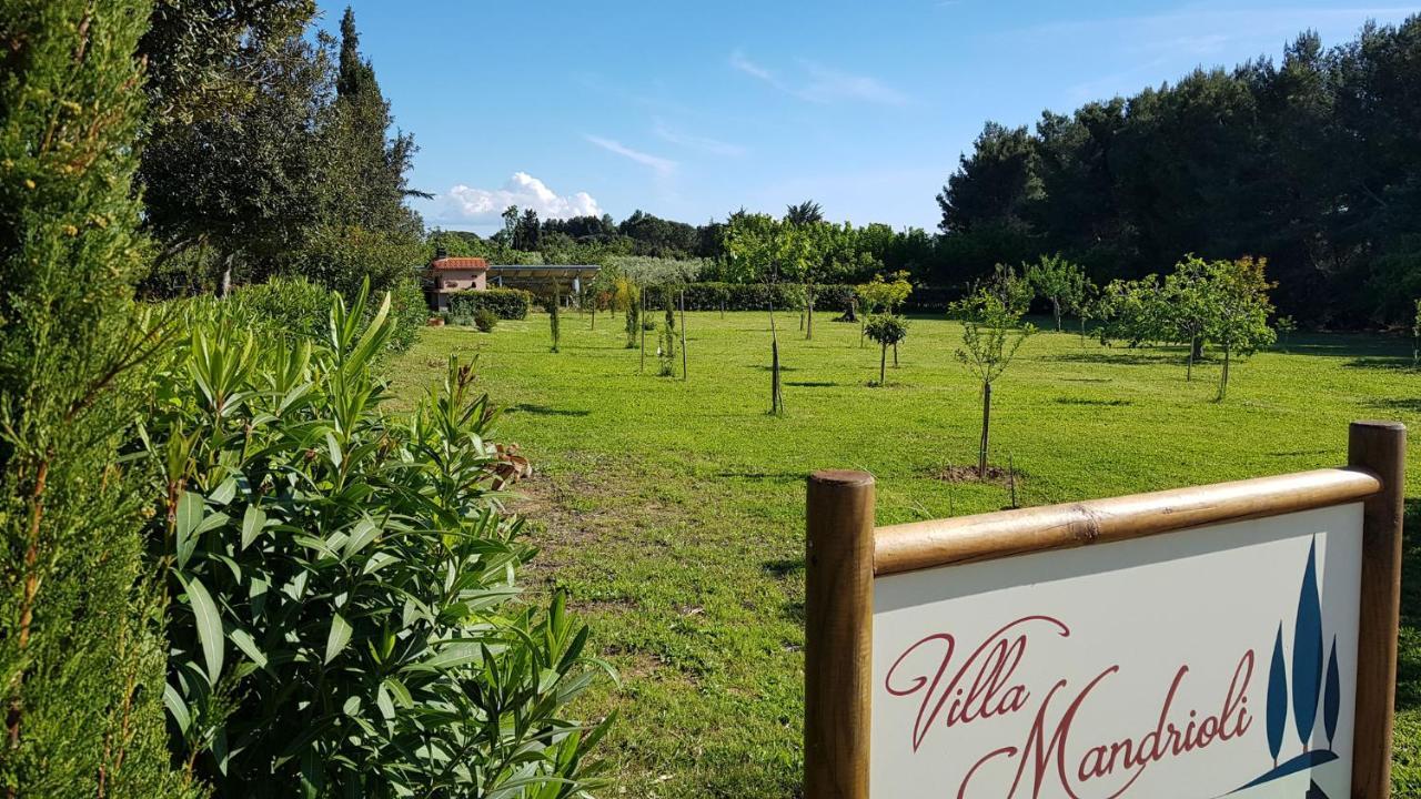 Villa Mandrioli Cecina  Eksteriør bilde