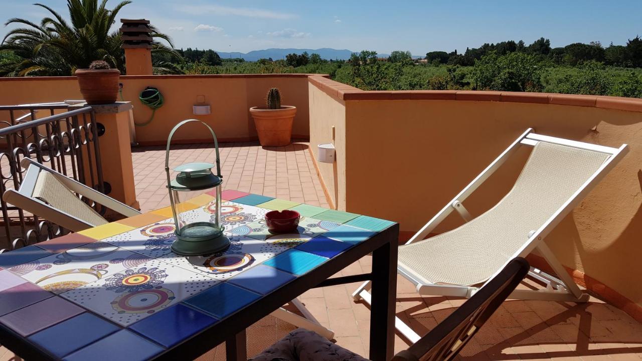 Villa Mandrioli Cecina  Eksteriør bilde