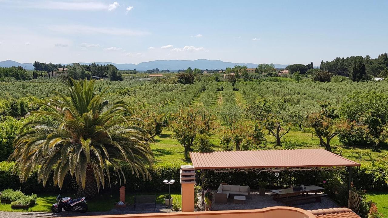 Villa Mandrioli Cecina  Eksteriør bilde
